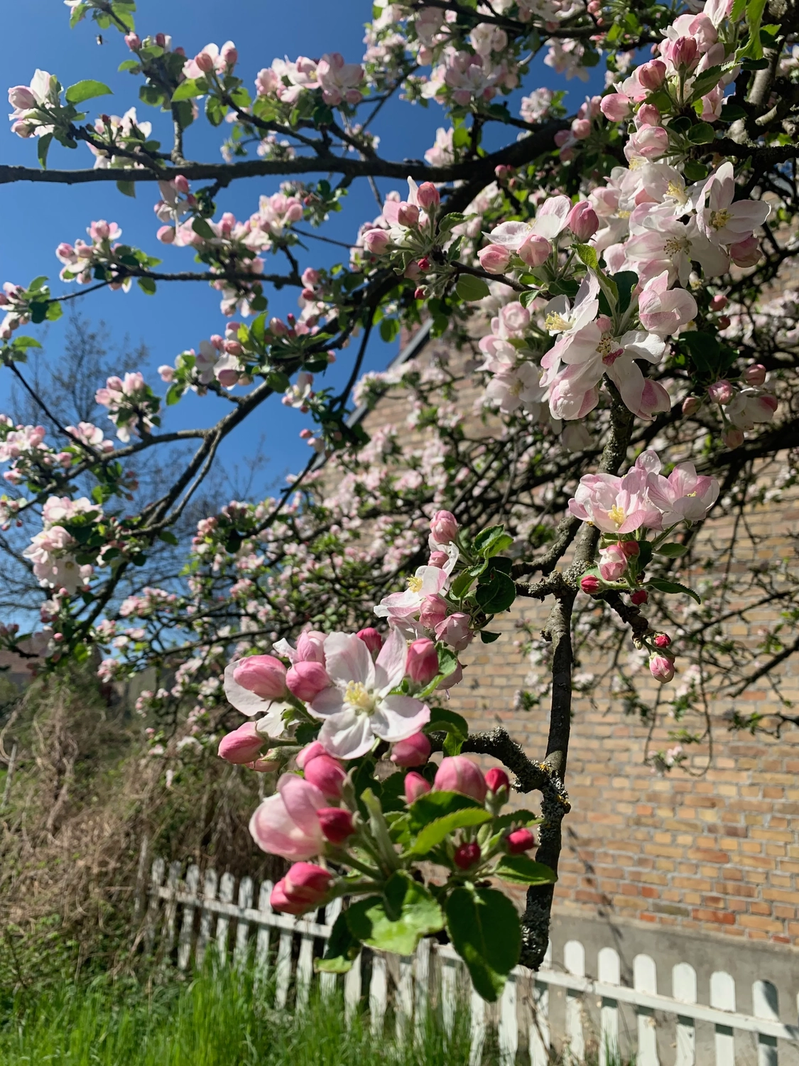 Nichelmühle - Eventlocation - Blumen