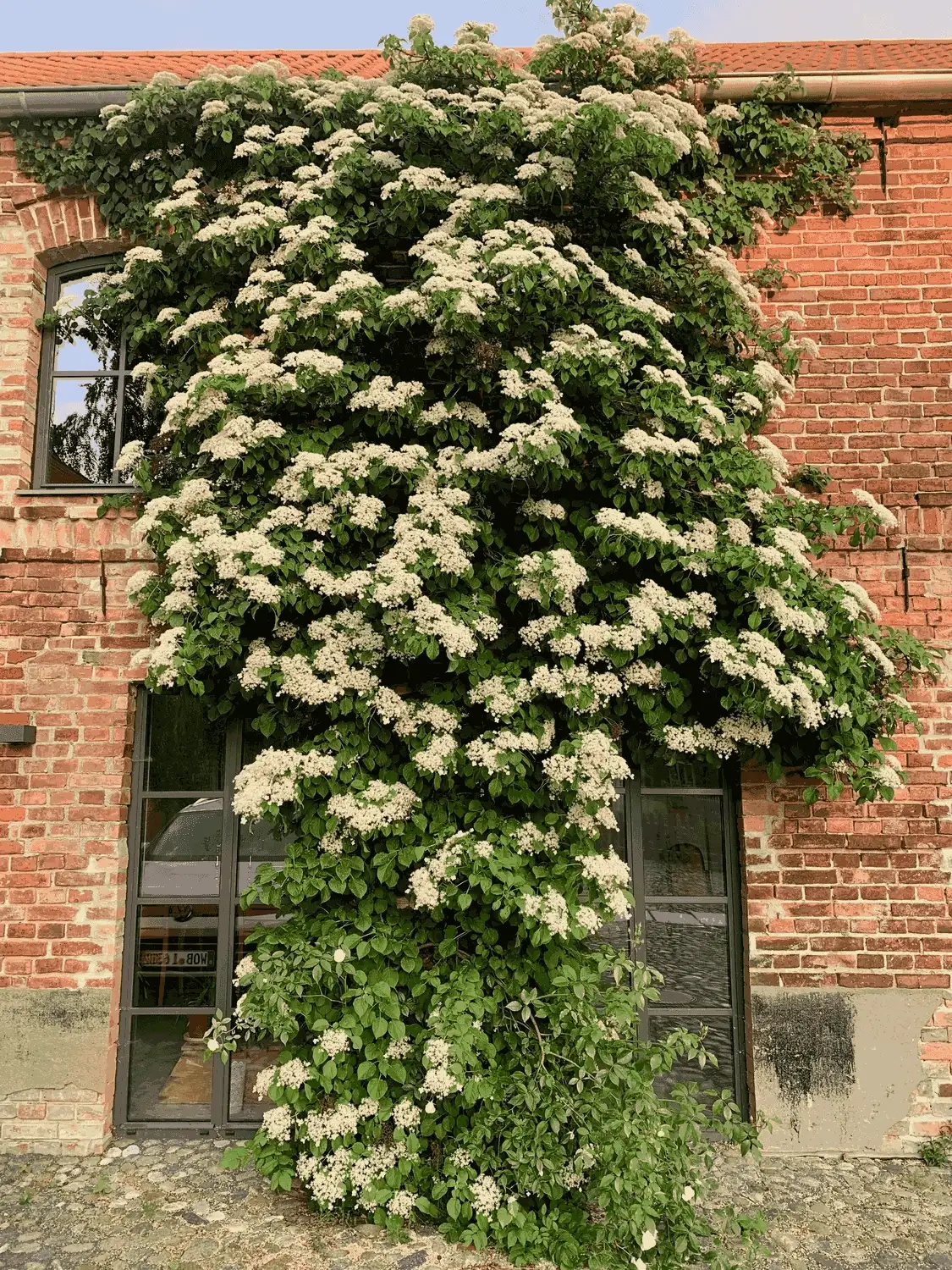 Nichelmühle - Eventlocation - Blumen