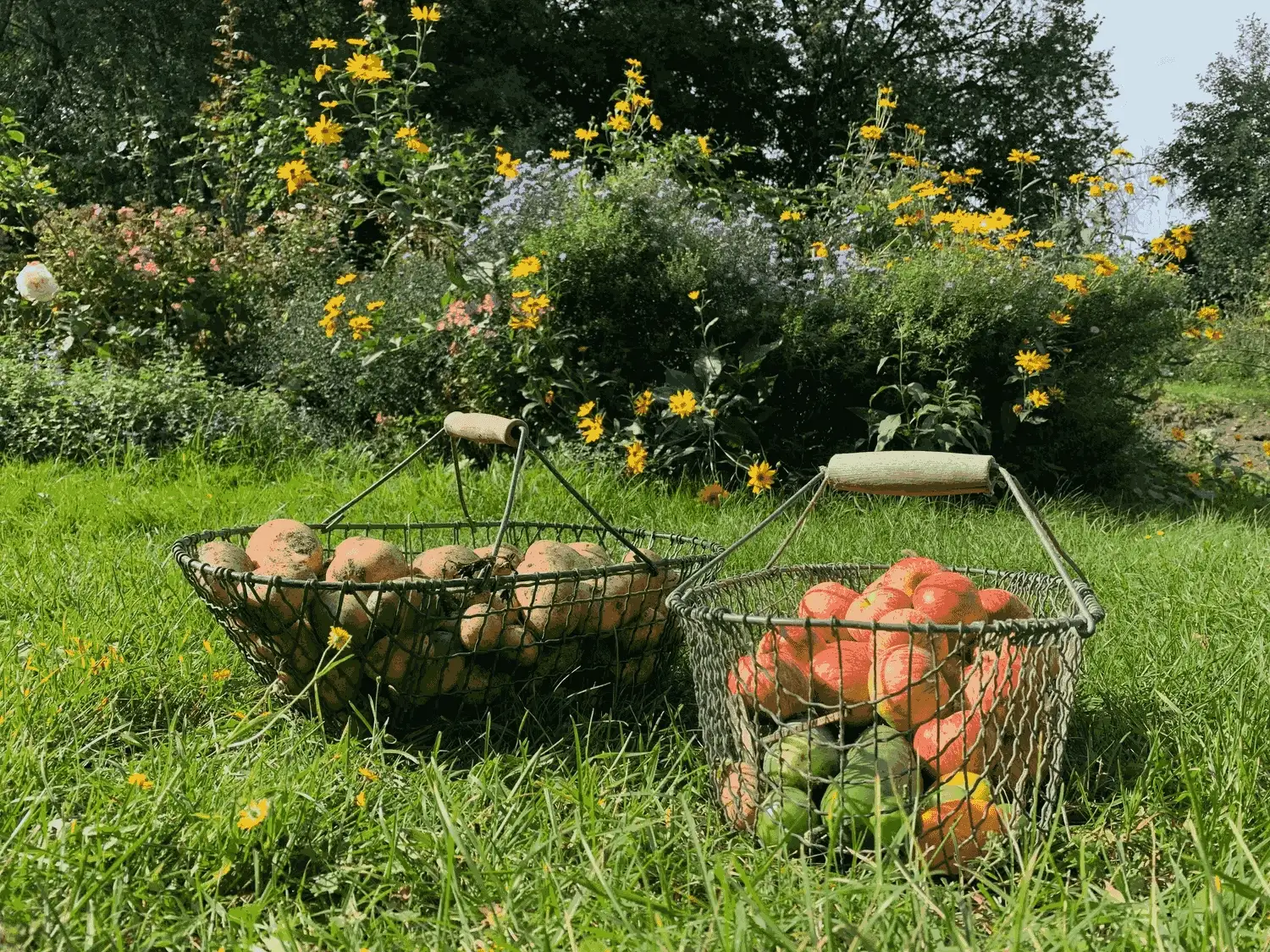 Nichelmühle - Eventlocation - Obstkörbe