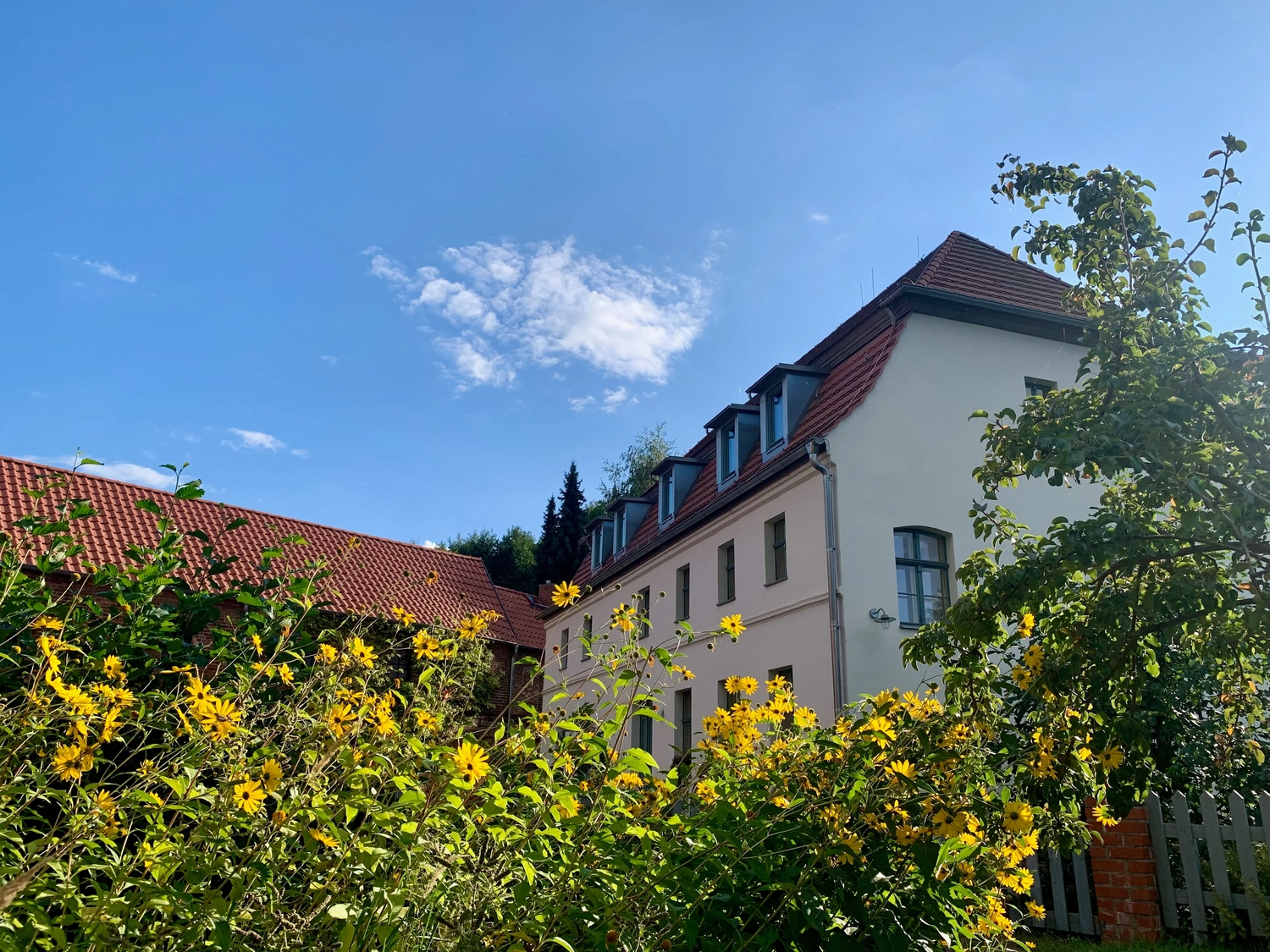 Nichelmühle - Eventlocation - Gartenblumen und Gras