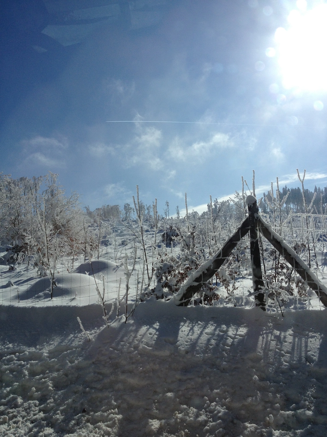 Nichelmühle - Eventlocation - schneebedeckter Baum