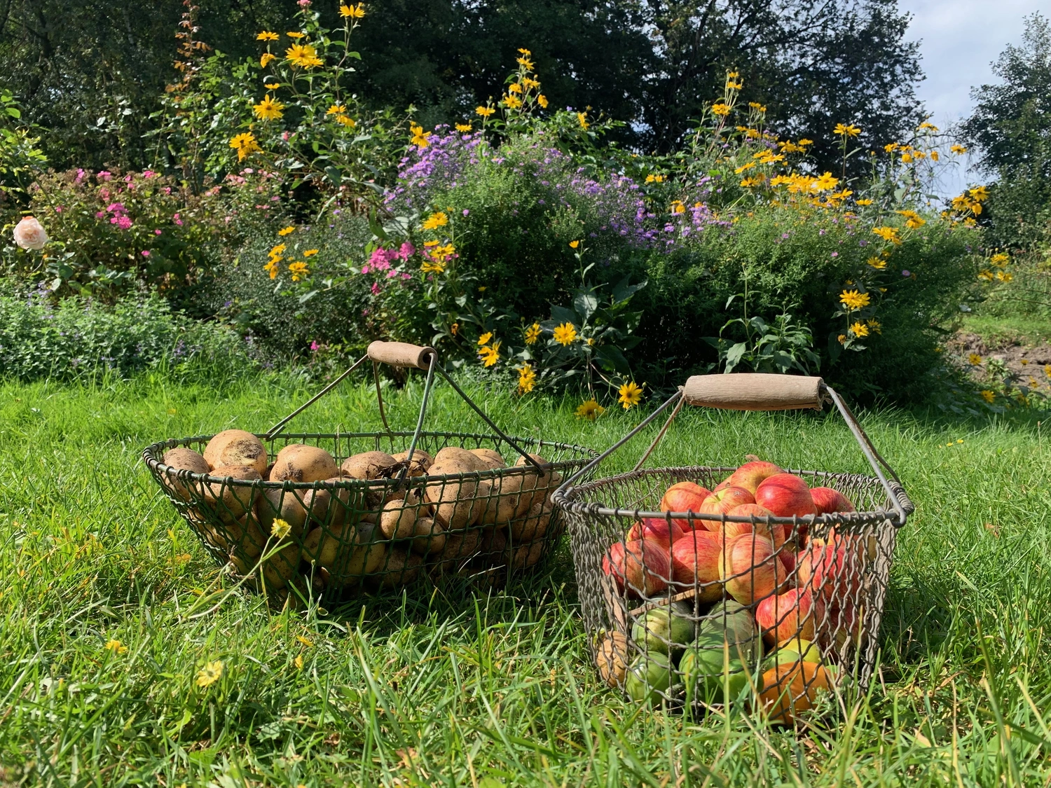 Nichelmühle - Eventlocation - Obst- und Gemüsekorb